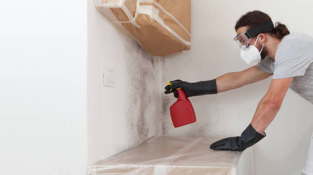 Professional Bathroom Mold Removal technician working in Marbury, MD
